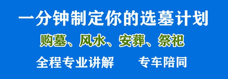 購墓指導、方案策劃