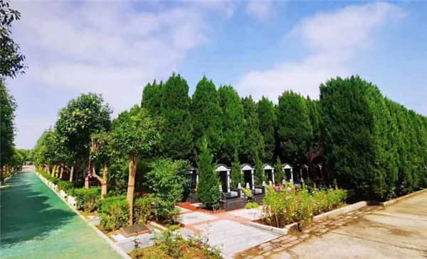 西安閻良漢皇樹葬墓園所處的荊山塬風(fēng)景區(qū)有哪些特色或亮點(diǎn)?