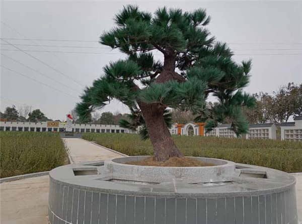 墓位價格是否會受到墓園整體規(guī)劃和設計的影響？