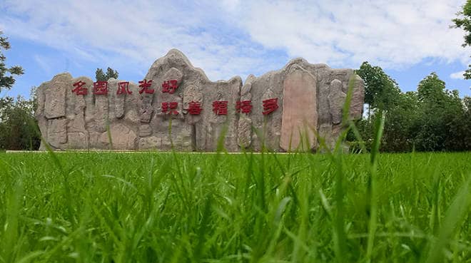 鳳棲山墓園有班車嗎現在
