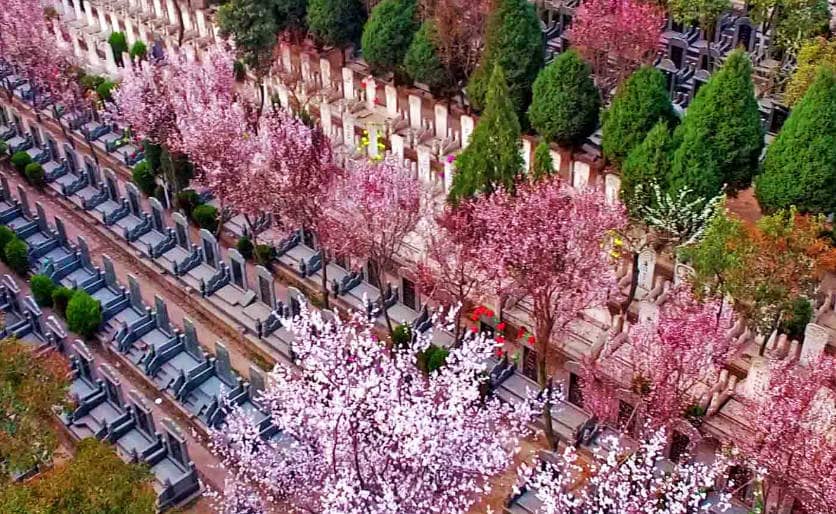 鳳棲山墓園北區(qū)怎么樣?墓園交通便利,有多條公交線路可達(dá)