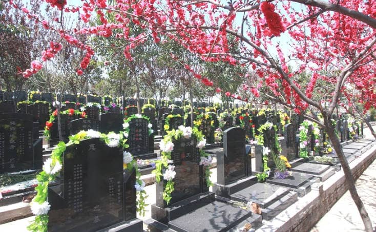 西安鳳棲山北區(qū)墓園道路規(guī)劃