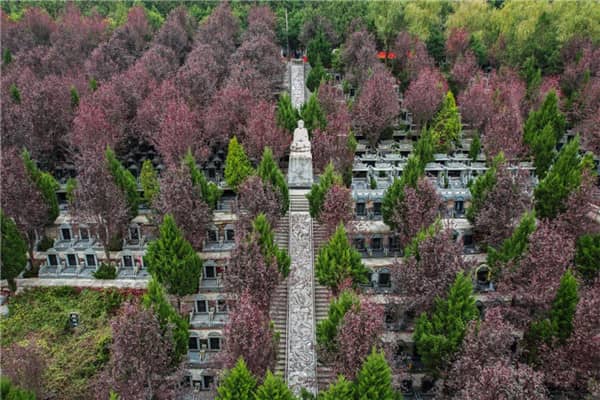 壽陽山墓園如何確保家屬能夠方便地參觀和考察，以及墓園的經營性質和服務質量如何？