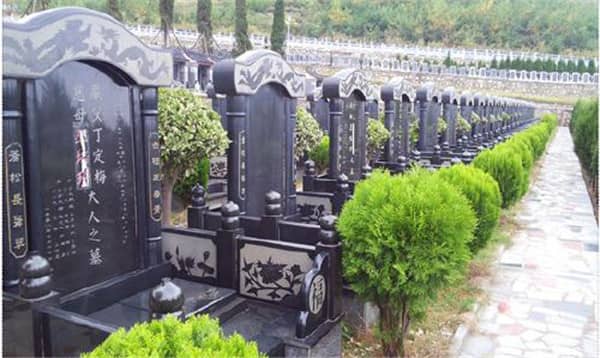如何通過公共交通方式到達壽陽山公墓，有哪些需要注意的事項？