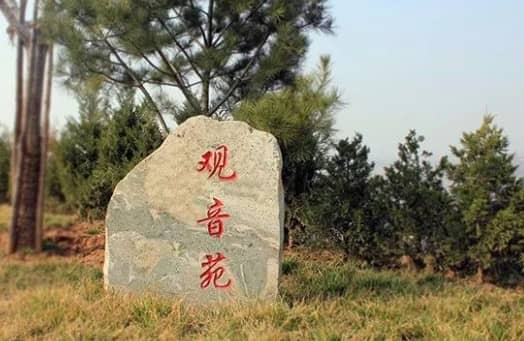前往西安壽陽(yáng)山公墓,乘客應(yīng)該如何選擇合適的公交線路,以確保出行的便捷和高效?