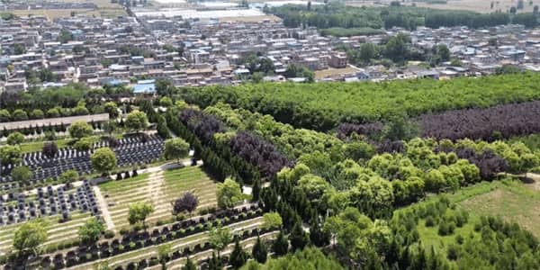 西安壽陽山墓園掃墓：尊重生命，緬懷逝者