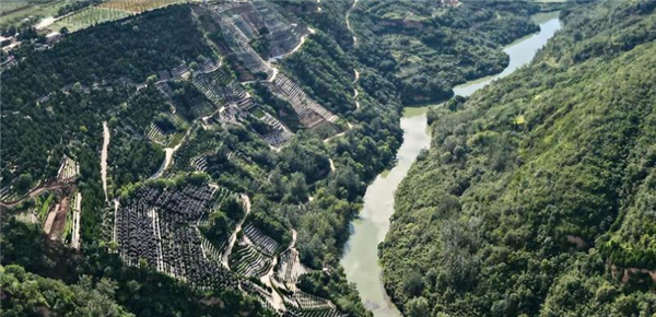 西安壽陽山墓園是否提供個性化服務？