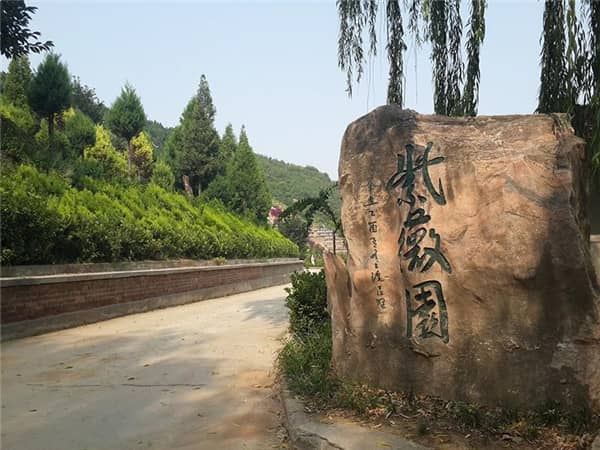 家屬如何便捷地前往西安壽陽山公墓查看墓地？