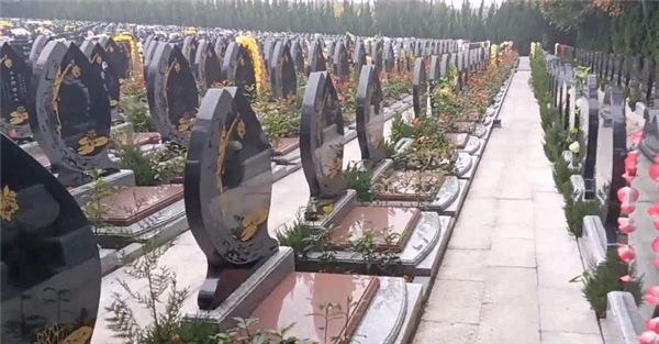 西安壽陽(yáng)山公墓位于哪個(gè)區(qū)域和具體地址是什么？
