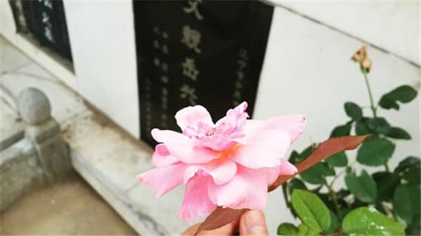 西安壽陽山墓園的安葬流程是怎樣的？有哪些關鍵環節需要注意？