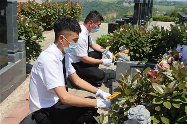 西安壽陽山墓園的地勢和自然環境如何體現其作為安放先人的絕佳之地？