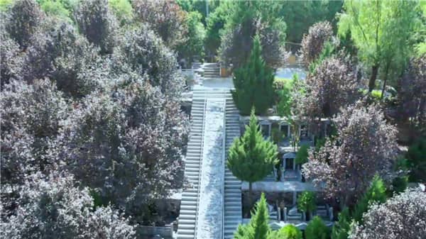 在特定的節日里，西安壽陽山墓園是否提供額外的交通服務？