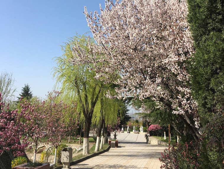 西安慈恩園墓園，墓地推薦