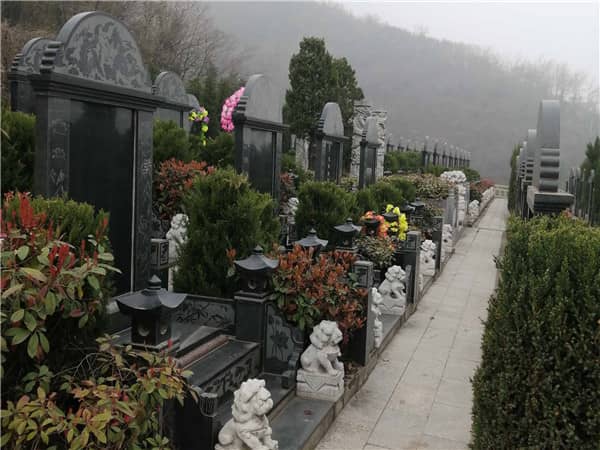 西安九龍山公墓在推出優惠政策和活動時，是否會考慮客戶的特殊需求？