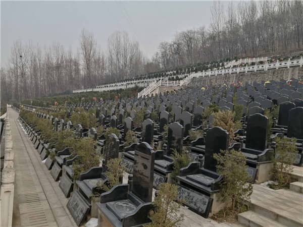 西安九龍山公墓在壁葬服務的維護和管理上有哪些措施？