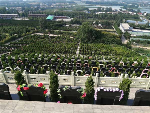 九龍山公墓的環境特點對其作為墓園的功能有何積極影響?
