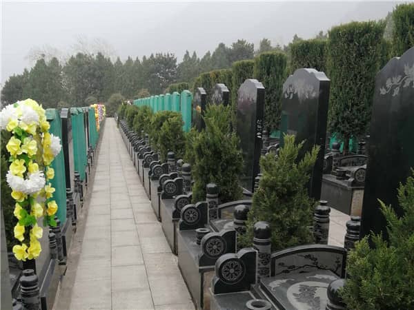 西安九龍山公墓的價格是否會根據市場情況有所變動？