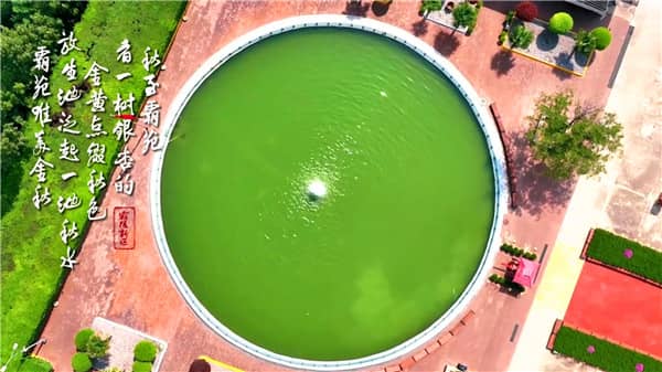 西安市霸陵墓園價位構成揭秘:專業(yè)咨詢,透明報價