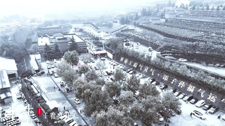 西安灞橋區霸陵墓園如何確保清明節祭掃活動的安全與文明？