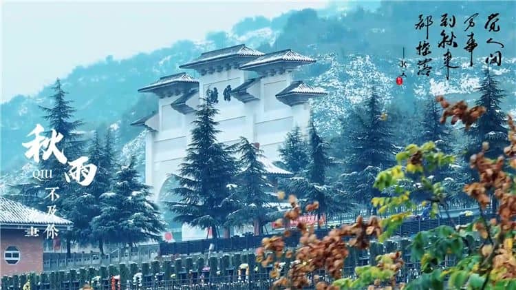 西安霸陵陵園提供的生態(tài)葬方式有哪些？