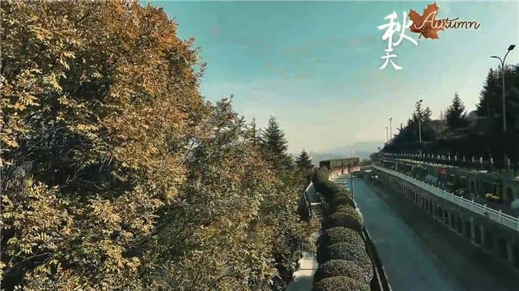 西安霸陵墓園新區(qū)具體位于哪個區(qū)域和街道，其周邊有哪些主要的交通路線？