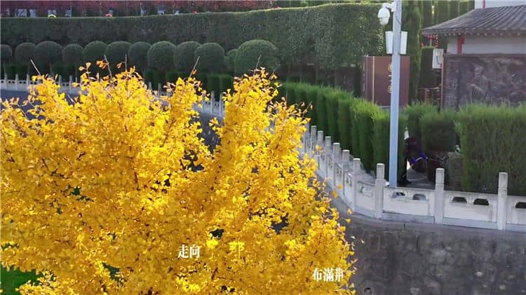 西安霸陵墓園未來有哪些發(fā)展規(guī)劃和愿景？