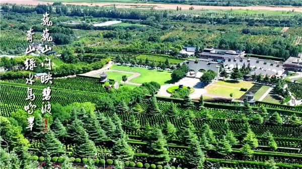西安霸陵墓園新區掃墓預約入口，悼念之際，懷念永存