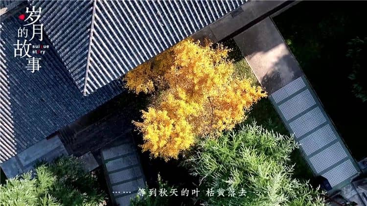 西安霸陵墓園的環境與服務?