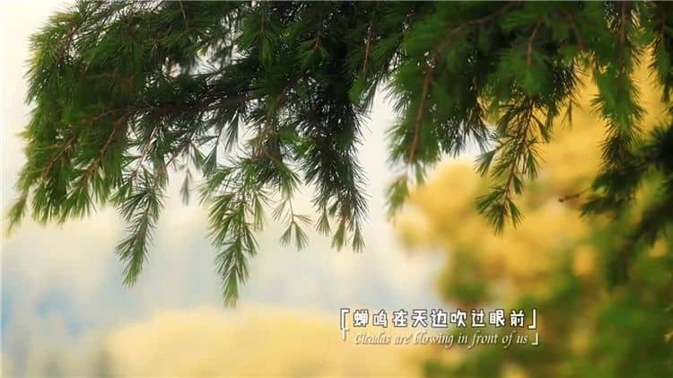 西安霸陵墓園新區(qū)的葬式有哪些種類？