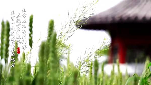 西安霸陵墓園新區(qū)地址-怎么坐車(chē)可以直達(dá)墓園