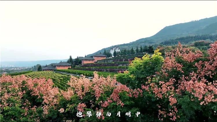 關(guān)于環(huán)保性，霸陵墓園如何做到減少對環(huán)境的影響？