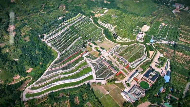 西安霸陵墓園新區(qū)提供哪些聯(lián)系方式以便客戶咨詢和預(yù)約服務(wù)？