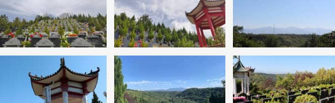 公墓是否允許拍攝照片或視頻留念?
