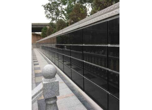 臥龍山福園在未來(lái)有什么發(fā)展規(guī)劃？