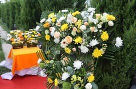 清明節前后結婚的利弊分析_傳統習俗