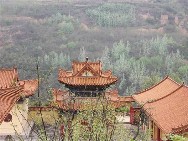 公墓有必要鋪金磚嗎?原因與實際意義解析
