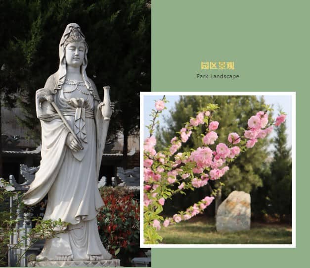 什么是花壇葬、樹葬、草坪葬?