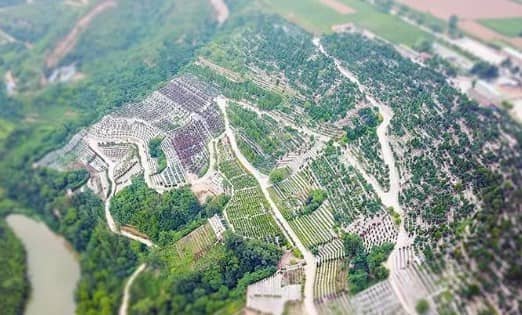西安驪山墓地風水如何,讓您的挑選更省心