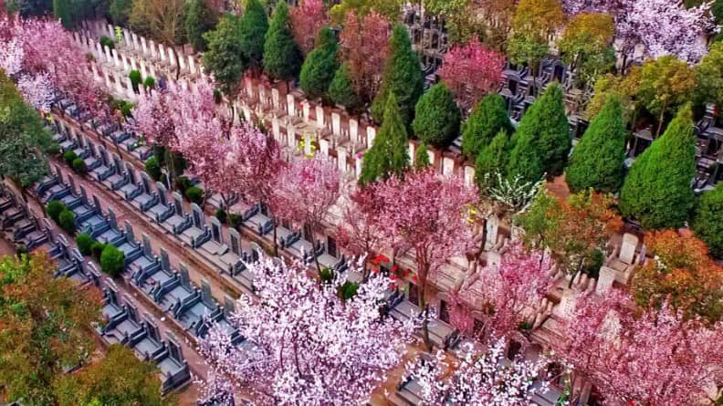 西安墓地一平方多少塊錢,買墓不怕被騙