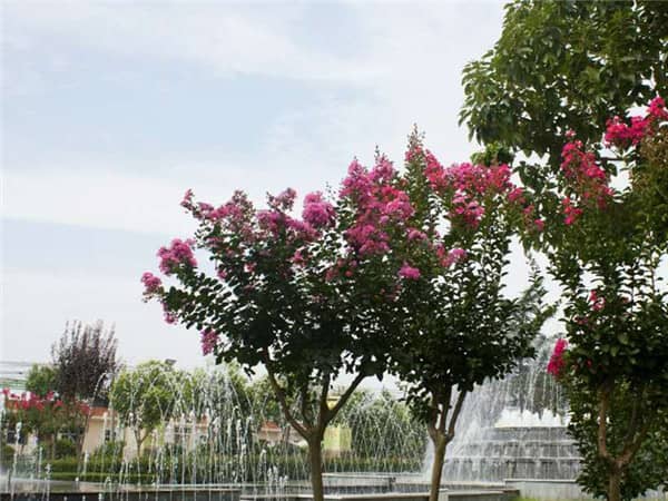 西安的公墓有些什么地方,優質公墓墓地推薦
