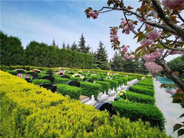 西安墓地的使用年限是如何規定的，到期后應該如何處理？